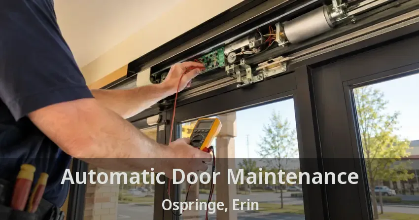 Automatic Door Maintenance Ospringe, Erin - ON