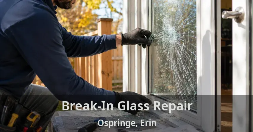 Break-In Glass Repair Ospringe, Erin - ON