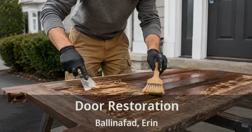Door Restoration Ballinafad, Erin - ON
