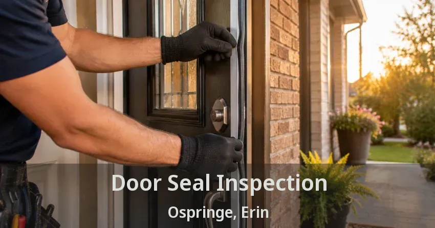 Door Seal Inspection Ospringe, Erin - ON