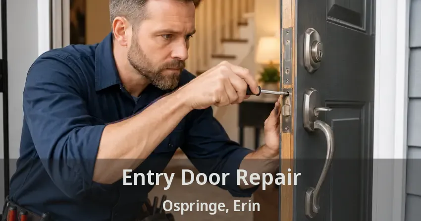 Entry Door Repair Ospringe, Erin - ON