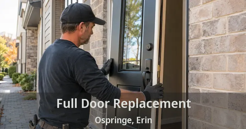 Full Door Replacement Ospringe, Erin - ON