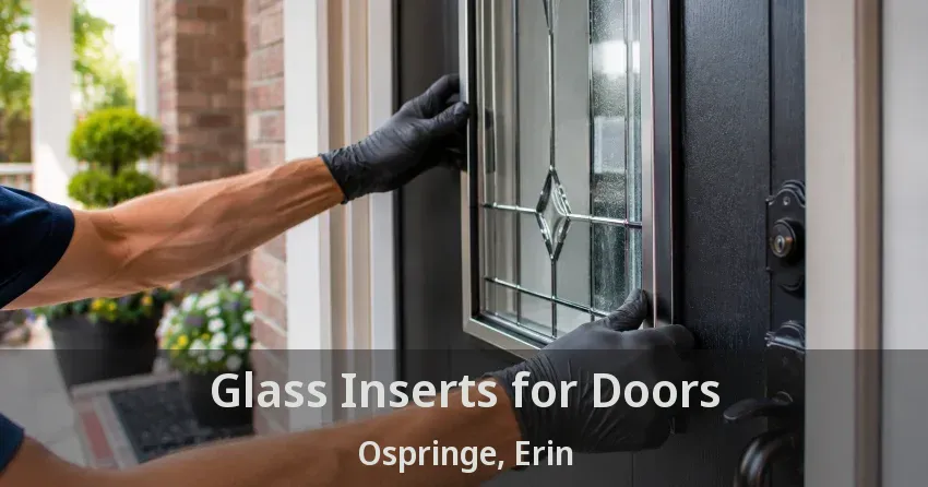 Glass Inserts for Doors Ospringe, Erin - ON