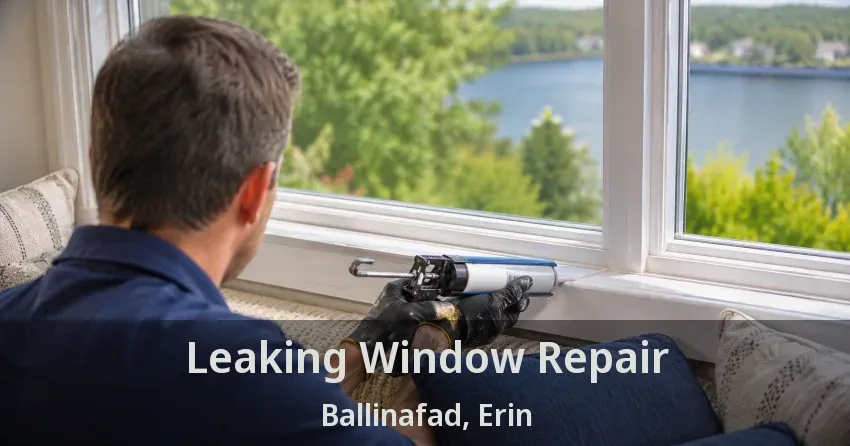 Leaking Window Repair Ballinafad, Erin - ON