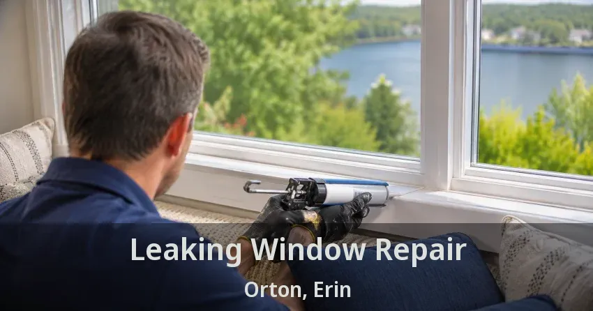Leaking Window Repair Orton, Erin - ON