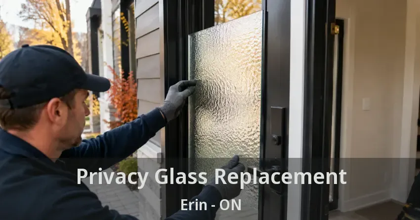 Privacy Glass Replacement Erin - ON