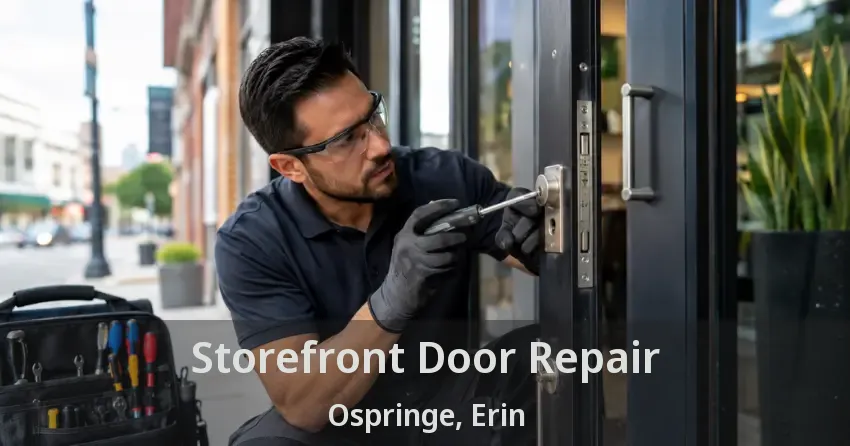 Storefront Door Repair Ospringe, Erin - ON