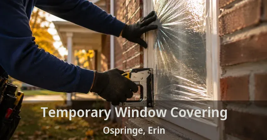 Temporary Window Covering Ospringe, Erin - ON