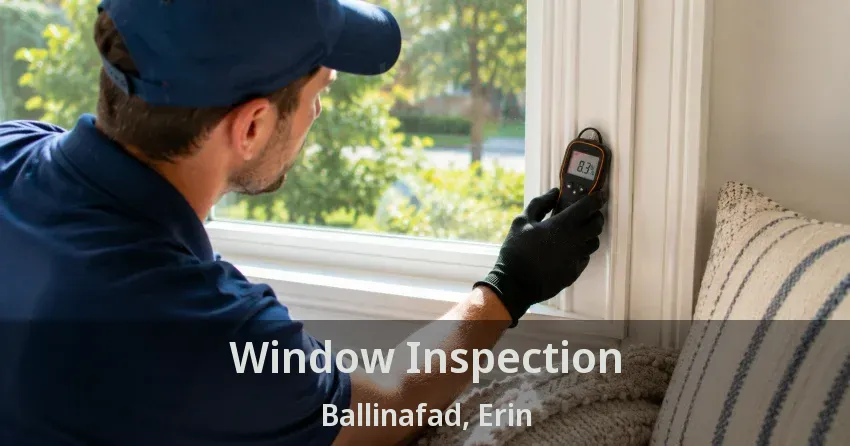 Window Inspection Ballinafad, Erin - ON